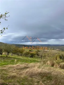 TEREN | 9341 MP | BALNACA GROSI | BIHOR - foto 7