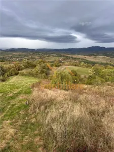 TEREN | 9341 MP | BALNACA GROSI | BIHOR - foto 9