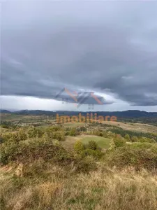 TEREN | 9341 MP | BALNACA GROSI | BIHOR - foto 10