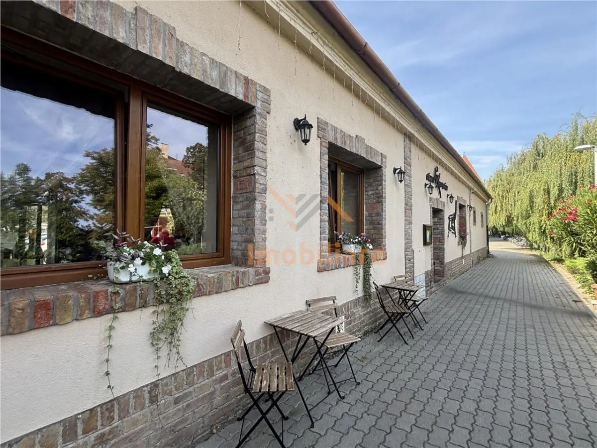 RESTAURANT GYULA | UNGARIA | PANOURI SOLARE | 245 MP |  TERASA PE LAC - foto 1
