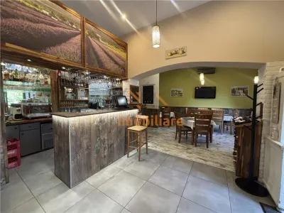 RESTAURANT GYULA | UNGARIA | PANOURI SOLARE | 245 MP |  TERASA PE LAC - foto 2