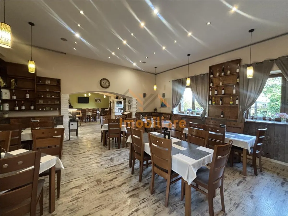 RESTAURANT GYULA | UNGARIA | PANOURI SOLARE | 245 MP |  TERASA PE LAC - foto 12