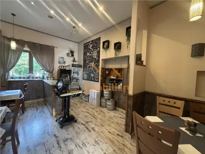 RESTAURANT GYULA | UNGARIA | PANOURI SOLARE | 245 MP |  TERASA PE LAC - foto 13