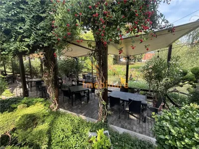 RESTAURANT GYULA | UNGARIA | PANOURI SOLARE | 245 MP |  TERASA PE LAC - foto 18