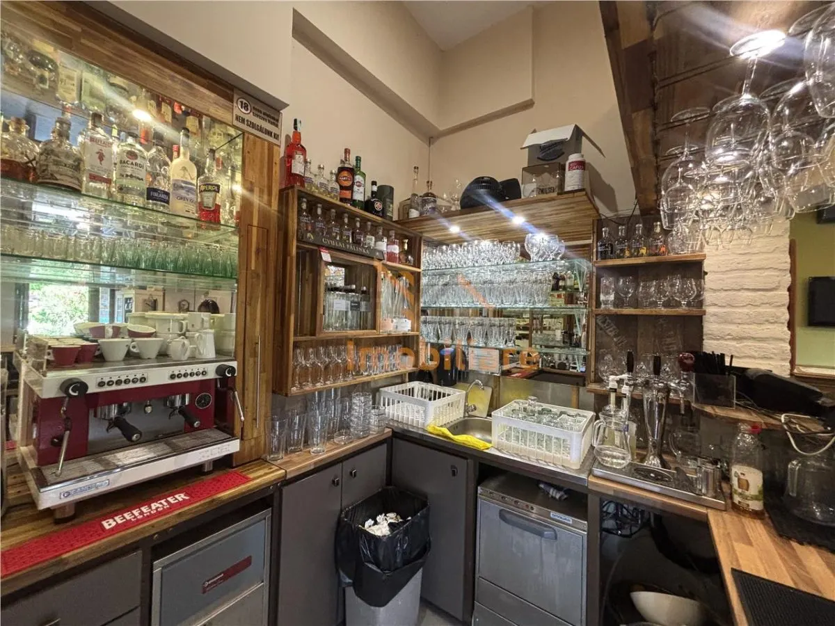 RESTAURANT GYULA | UNGARIA | PANOURI SOLARE | 245 MP |  TERASA PE LAC - foto 7
