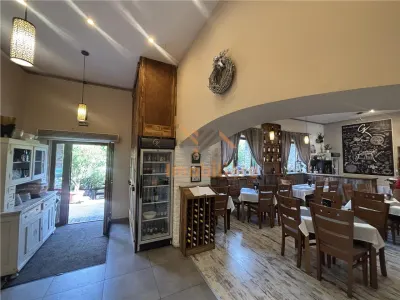 RESTAURANT GYULA | UNGARIA | PANOURI SOLARE | 245 MP |  TERASA PE LAC - foto 10