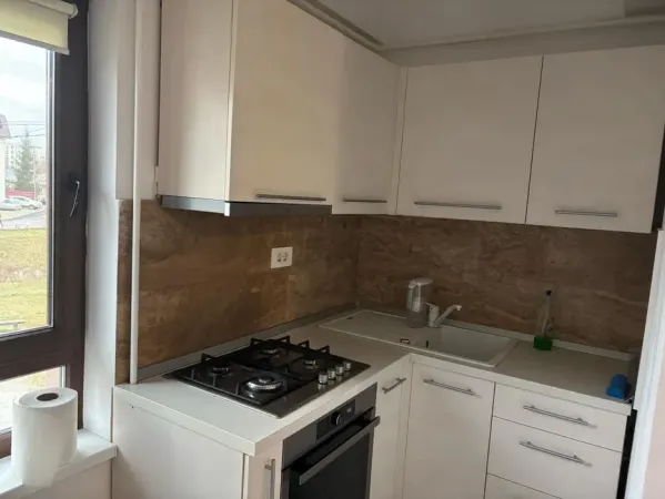 Apartament 2 camere Nicolina- 400 euro - foto 2