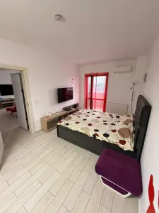 Apartament 2 camere River\u2019s Towers-Tudor Vladimirescu-500EURO - foto 2