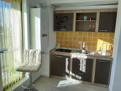 Apartament 2 camere River\u2019s Towers-Tudor Vladimirescu-500EURO - foto 4