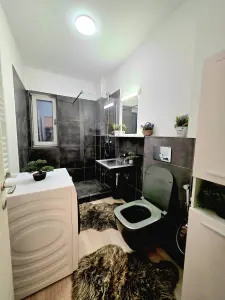 Apartament cu 3 camere de închiriat - Moon Reflexes-500 EURO - foto 7