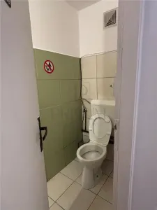 Spatiu comercial de inchiriat acces stradal - foto 5