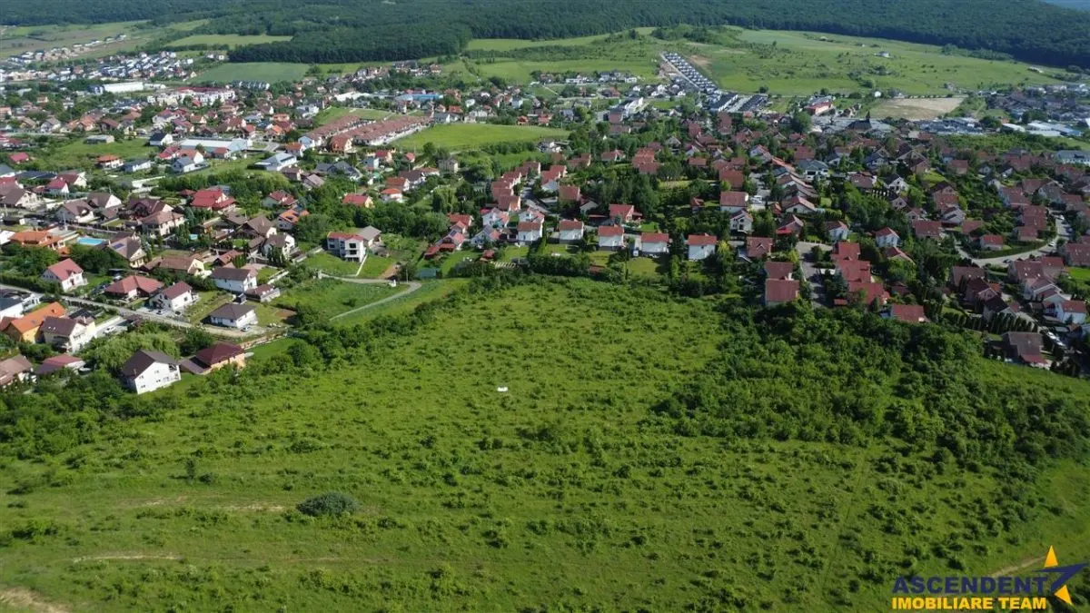 Lot premium,17.200 mp,PUG, oportunitate extinsa,10 min de Targu Mures:Livezeni - foto 13