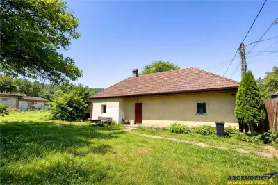 FILM &Tur 3D! Casa cu gradina, pomi fructiferi, fantana, Zagon, Covasna - Zagon