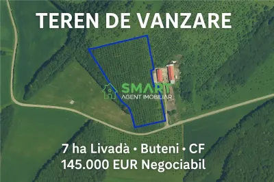 Teren 7 ha. livada Buteni, Jud. Arad CF, acces drum. - foto 2