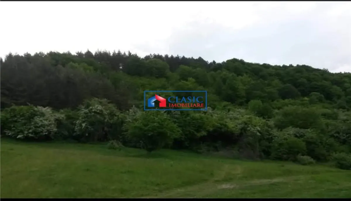 Vanzare teren intravilan 1540 mp in Faget - zona Sf Ion - foto 1