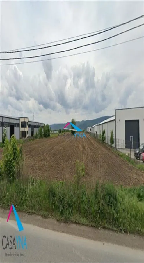 Letea Veche - Zona industriala - Teren 14.000mp! - foto 1