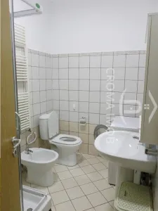 Inchiriere Casa 4 camere, curte proprie, cartier Mica Roma, Bucov - foto 16