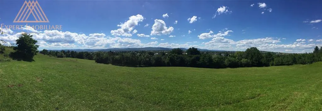 Teren in Horodnic de Sus, pe Osoi 1 ha - foto 1