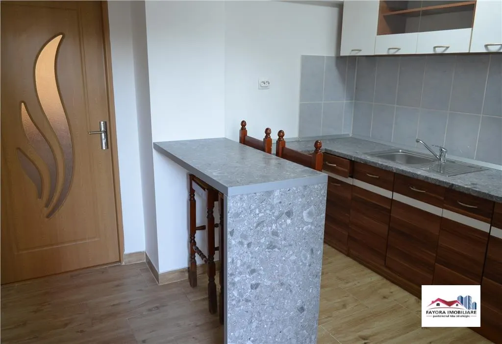 Apartament 1 Camera Mobilat si Utilat de Vanzare Zona Dambu Pietros - foto 5