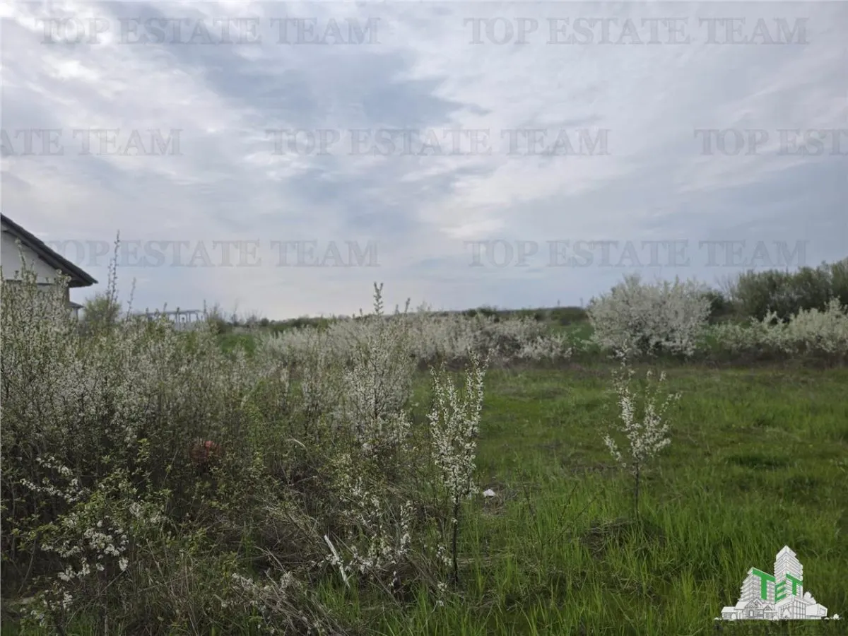 TEREN INTRAVILAN 420 mp la 20 minute  de Bucuresti - foto 4