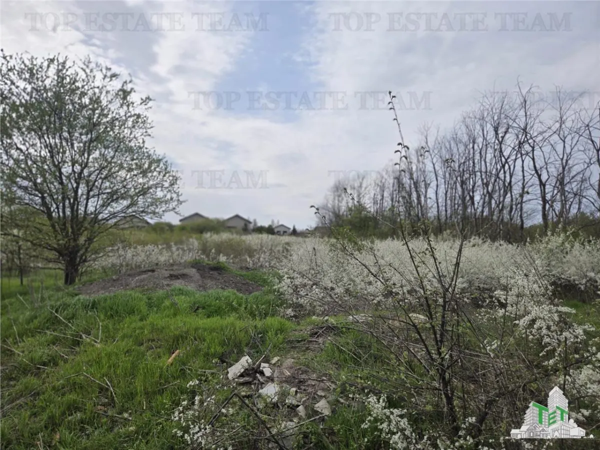 TEREN INTRAVILAN la 20 minute de Bucuresti - foto 1