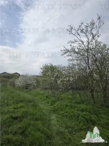 TEREN INTRAVILAN la 20 minute de Bucuresti - foto 5