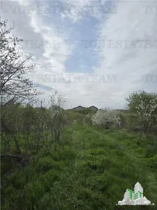 TEREN INTRAVILAN la 20 minute de Bucuresti - foto 7
