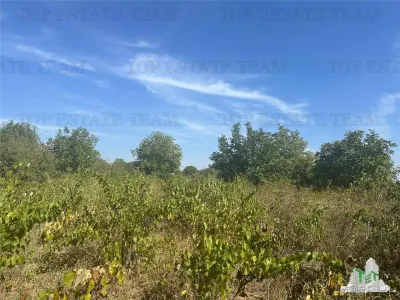 Vanzare teren intravilan construibil , Branesti-Ilfov, 7100 mp, ideal rezidenta sau investitie - foto 2