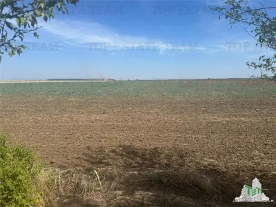 Vanzare teren intravilan construibil, Branesti-Ilfov, 5000 mp, ideal rezidenta sau investitie - Bucuresti