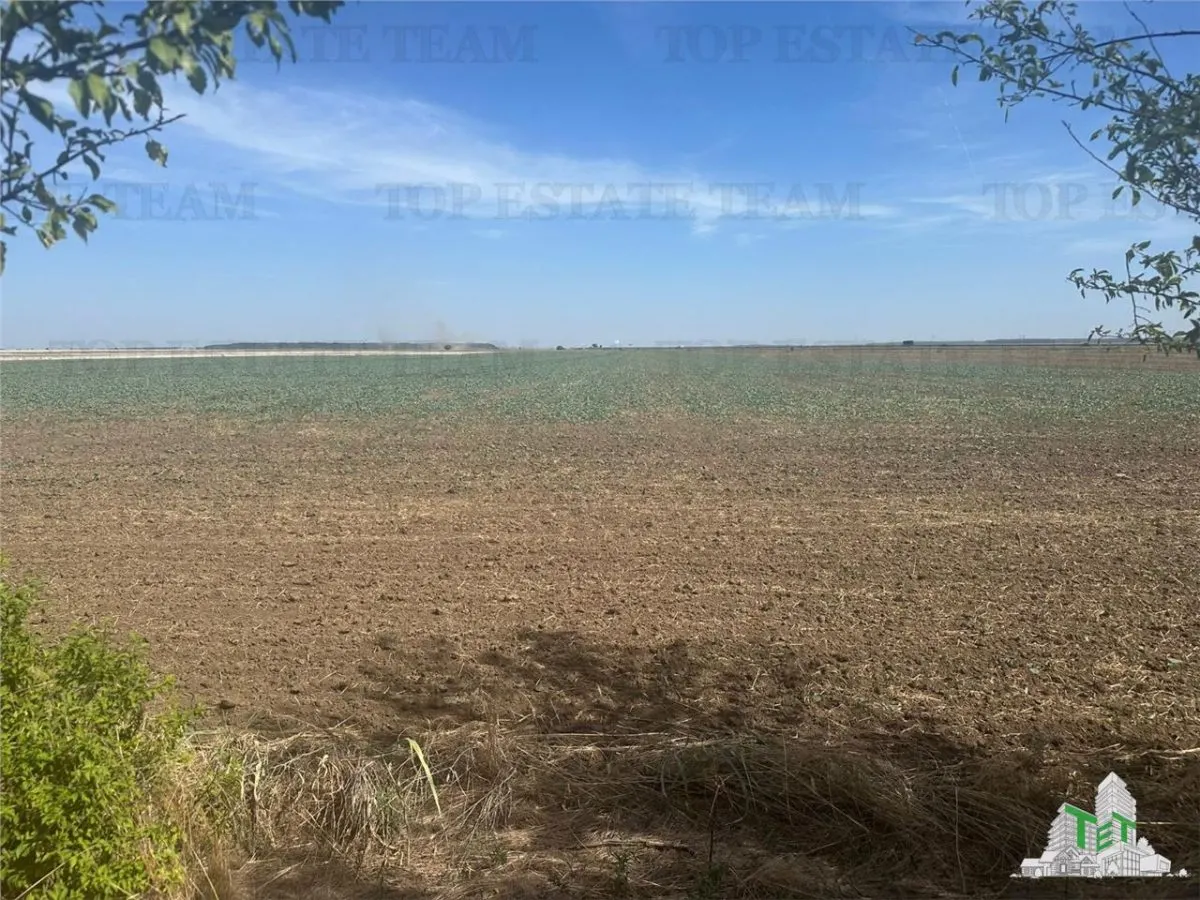 Vanzare teren intravilan construibil, Branesti-Ilfov, 5000 mp, ideal rezidenta sau investitie - foto 1