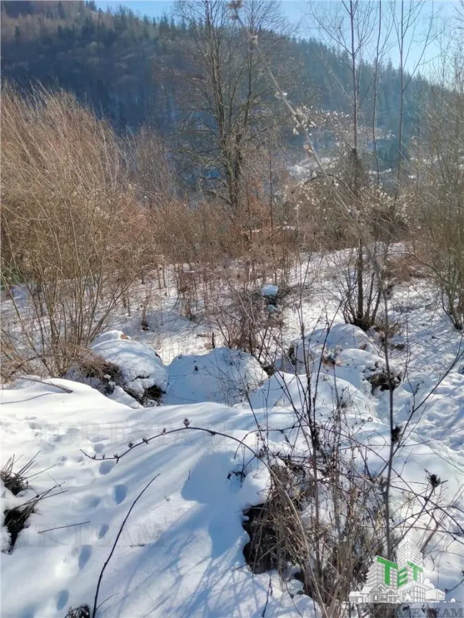 Teren Intravilan Sinaia 2255 mp - foto 2