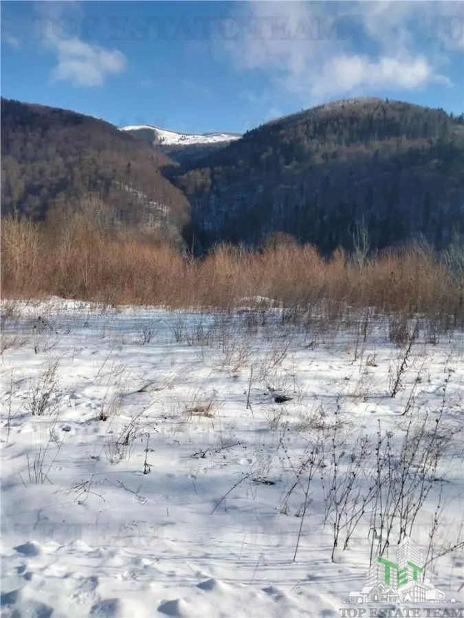 Teren Intravilan Sinaia 2255 mp - foto 4