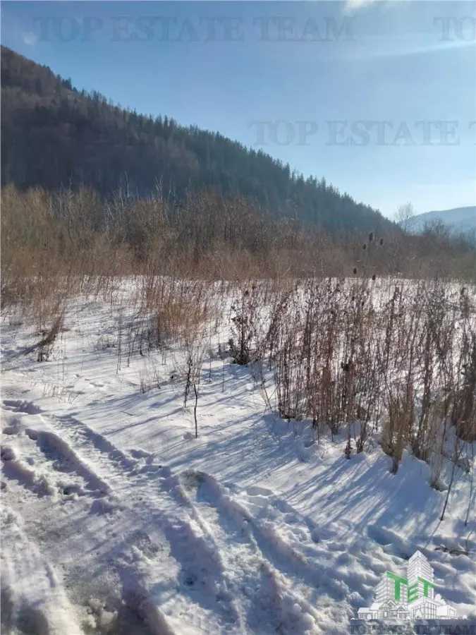 Teren Intravilan Sinaia 2255 mp - foto 6