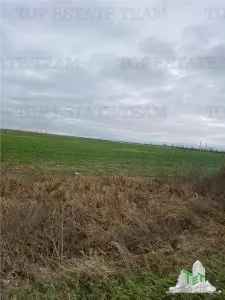 Teren Extravilan in Prahova - Berceni