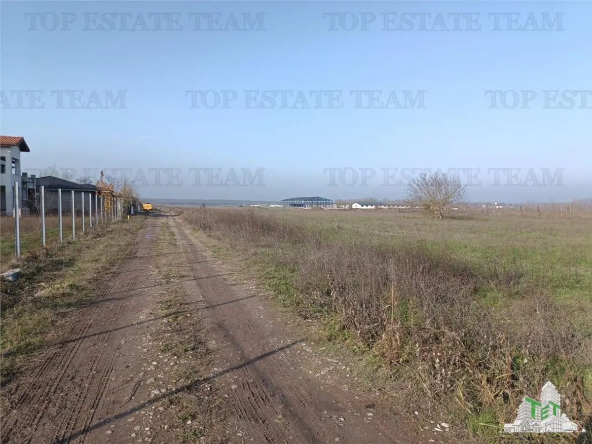 Teren intravilan la  DJ 101, in Gruiu, aproape de manastirea Caldarusani, ideal pt dezvoltatori imobiliari pt imobile cu regim de inaltime de S+P+2E! - foto 1
