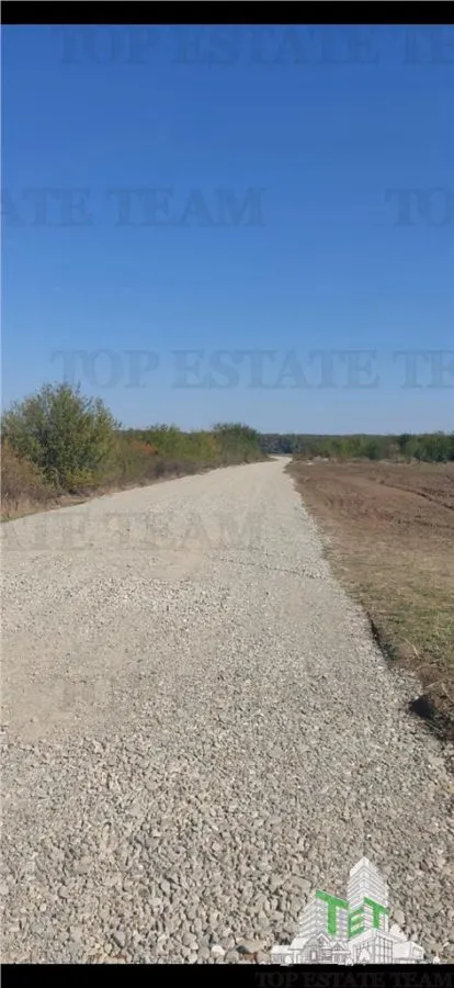 Teren Dambovita, Butimanu 14394 mp - foto 3