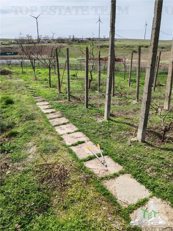 Colt de rai la tara  doua case primitoare livada vie si liniste deplina - foto 5