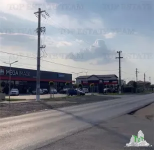 Teren stradal de vanzare in Calarasi / Frumusani - Frumusani