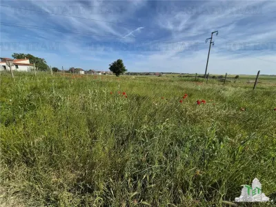 Teren intravilan Techirghiol - foto 2