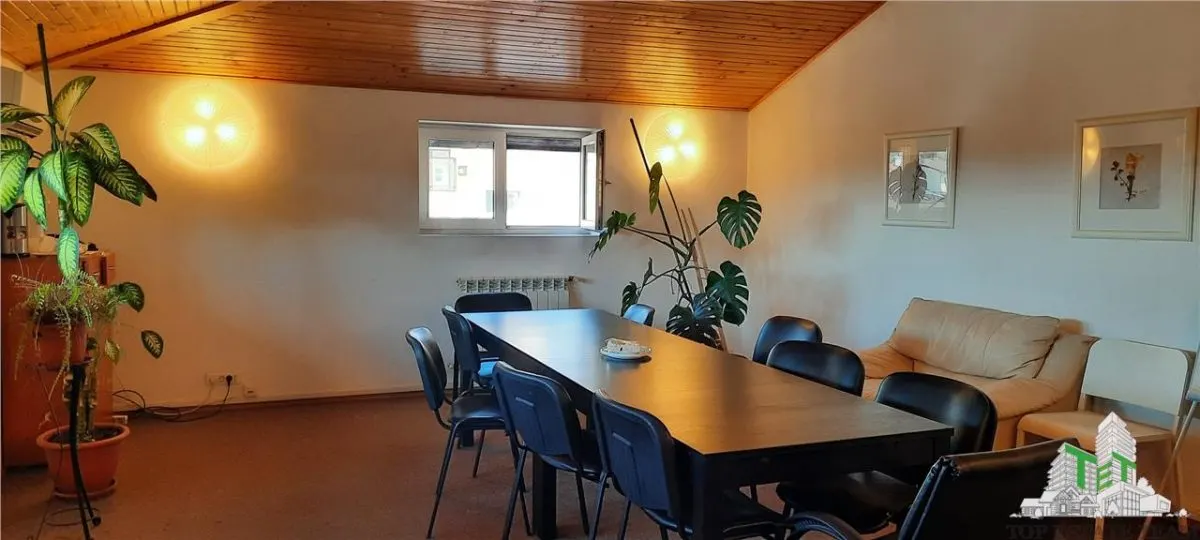 Vanzare spatiu birou/avocatura/notariat ,vila constructie 2004, zona Domenii, locatie premium - foto 10