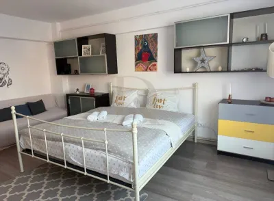 De închiriat ! Centru Hala Centrala , apartament 1 camera 44 mp - foto 2