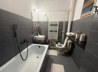 De închiriat ! Centru Hala Centrala , apartament 1 camera 44 mp - foto 6