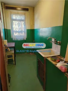 Drumul Taberei Prelungirea Ghencea  apartament 2 camere de vanzare - foto 8