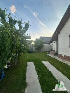 Detached House, Fully Furnished and Equipped, 4 Bedrooms, Domnesti – Immediate Availability - foto 14