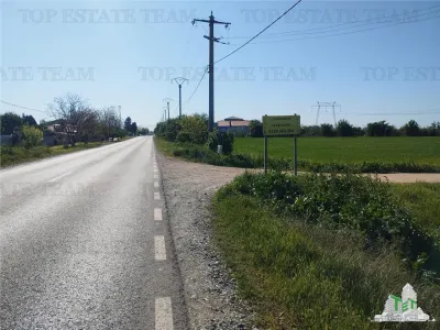 Development Land for Sale – Frumusani, Calarasi – 40,500 sqm - Frumusani