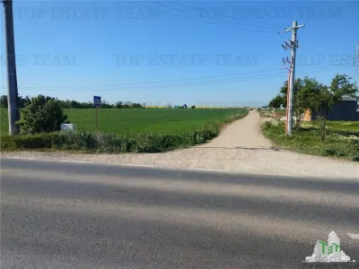 Development Land for Sale – Frumusani, Calarasi – 40,500 sqm - foto 2