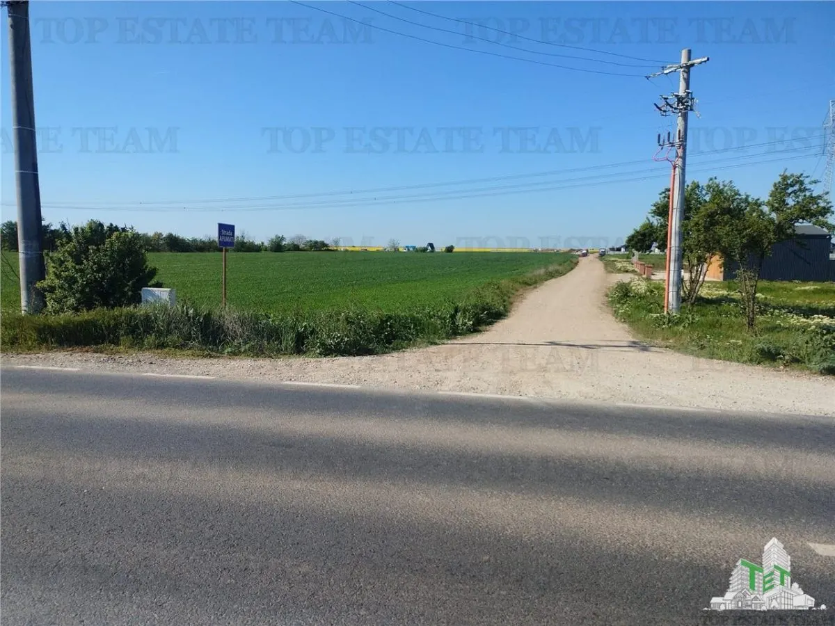 Development Land for Sale – Frumusani, Calarasi – 40,500 sqm - foto 2