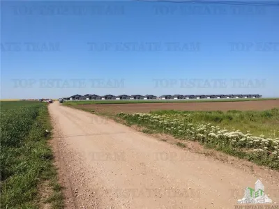 Development Land for Sale – Frumusani, Calarasi – 40,500 sqm - foto 3