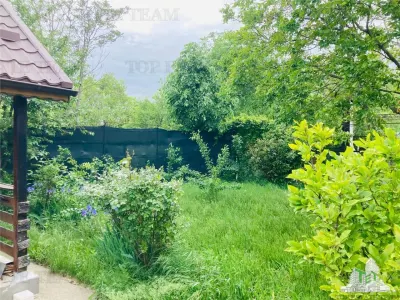 Premium House – Bucuresti | Nicolae Grigorescu – Prevederii | 289 sqm Plot - foto 4