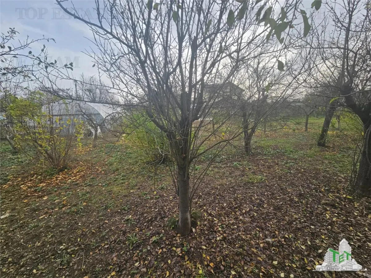 2,000 sqm Land Plot between Houses near Pădurea Teghes - foto 5
